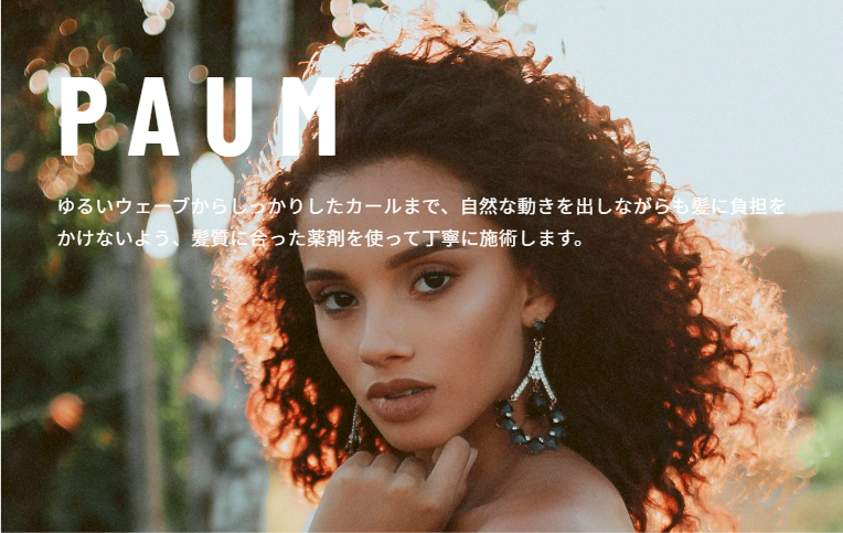 Radiant AuraのPAUMメニュービジュアル